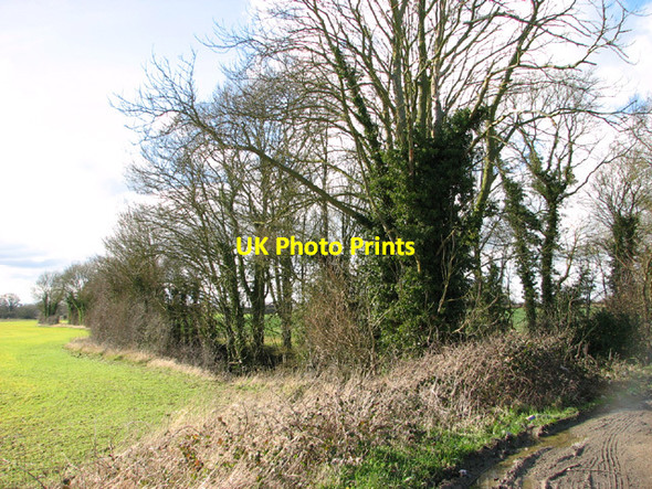 Photo 6"x4" Field boundary by Hall Farm Penny's Green c2014