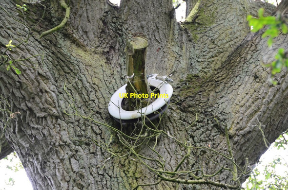 Photo 6"x4" An unusual tree decoration East Third\/NT6436 c2014
