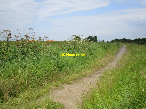 Photo 6"x4" Path off Martin Lane Bawtry c2014