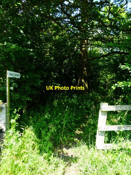 Photo 6"x4" Footpath to Poyle Farm enters strip of woodland Seale c2014