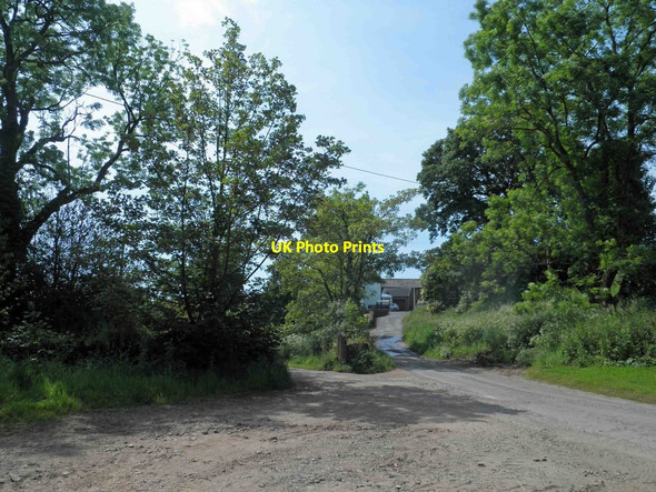Photo 6"x4" Minor road near Rottington Rottington c2014
