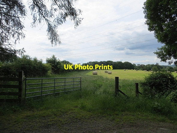 Photo 6"x4" Round bales, Annandale Gateside\/NY1194 c2014