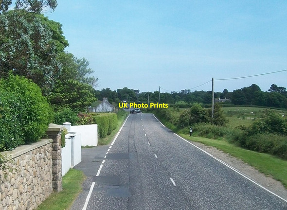 Photo 6"x4" The A2 east of Killowen Point Rostrevor c2014