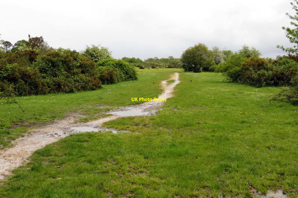 Photo 6"x4" Path on Greenham Common Newbury\/SU4767 c2014