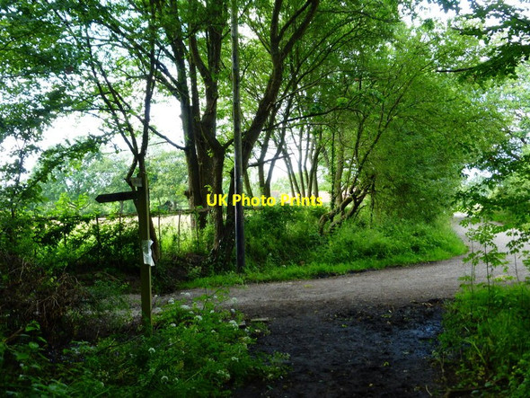 Photo 6"x4" Path junction on bend in Bailes Lane Wood Street Village c2014