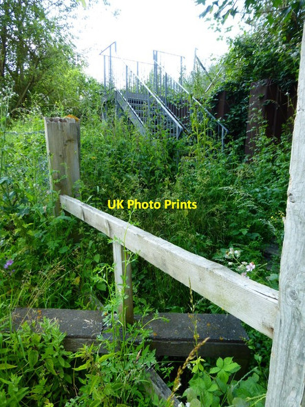 Photo 6"x4" Footpath steps up railway embankment Flexford\/SU9250 c2014