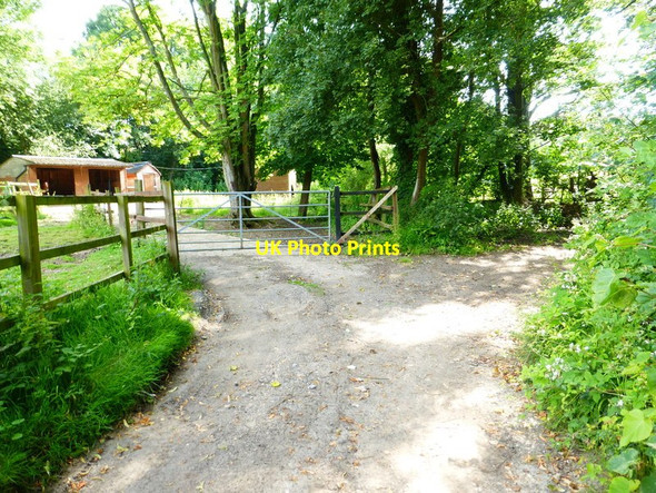 Photo 6"x4" Bend on byway by paddock west of Westwood Lane Flexford\/SU9250 c2014