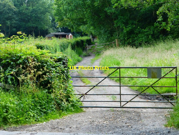 Photo 6"x4" Byway goes south west from Westwood Lane Flexford\/SU9250 c2014