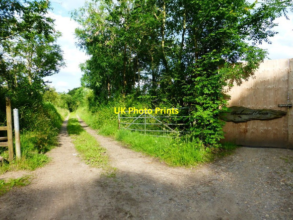 Photo 6"x4" Footpath going east from Westwood Lane at gates to Peakmead Farm Flexford\/SU9250 c2014