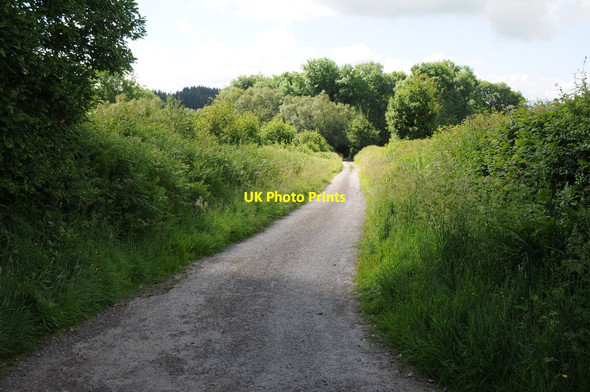 Photo 6"x4" Red Lane Crowther's Pool c2014