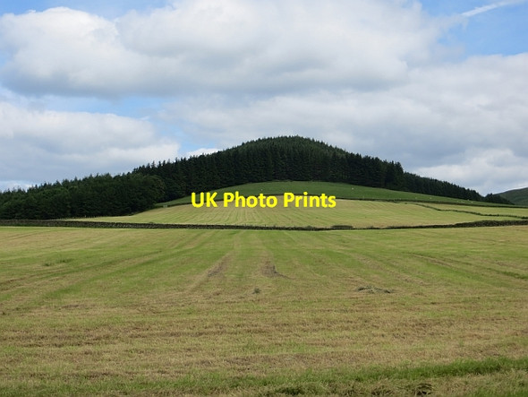 Photo 6"x4" Field beneath Dundoran Gateside\/NY1194 c2014