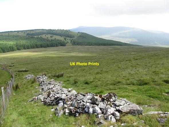 Photo 6"x4" Ruined wall and fence descending to the col between Slieve Martin and Crenville Rostrevor c2014