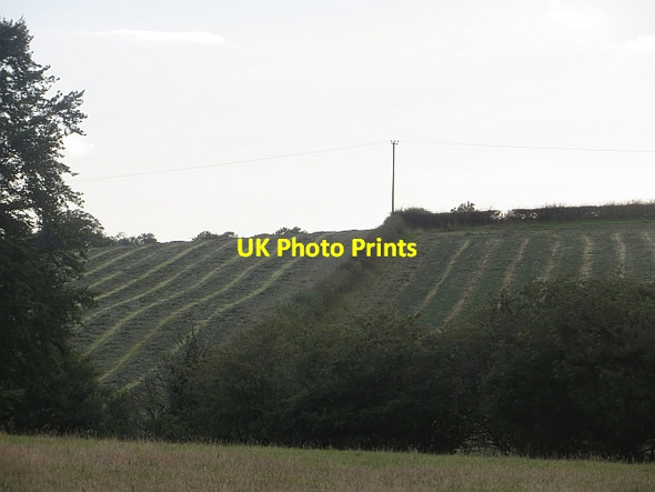 Photo 6"x4" Cut grass near Low Kittymuir Birkenshaw\/NS7649 c2013