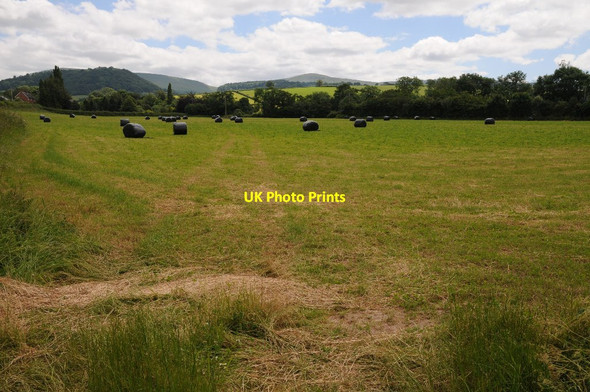 Photo 6"x4" Field of silage bales Hay-on-Wye\/Y Gelli Gandryll c2014