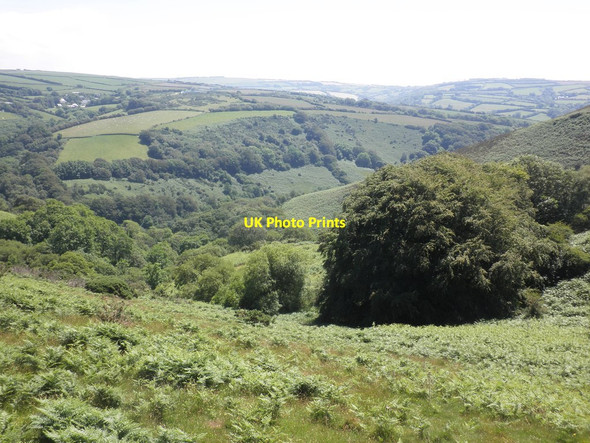 Photo 6"x4" Trentishoe Down Trentishoe c2014