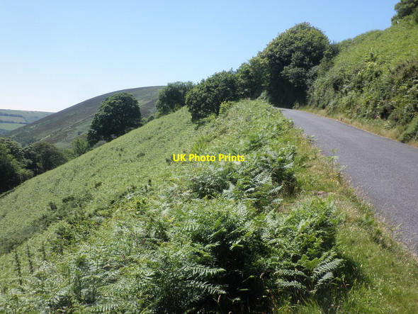 Photo 6"x4" View towards Trentishoe Down Trentishoe c2014