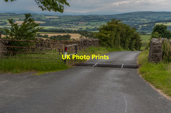 Photo 6"x4" Cattle Grid Moor Lane Butt Yeats c2014