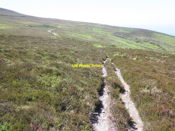 Photo 6"x4" Track on Holdstone Down Trentishoe c2014