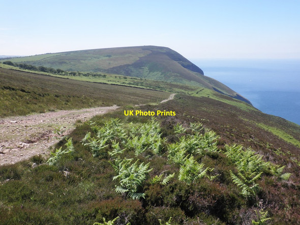 Photo 6"x4" South West Coast Path on Holdstone Down Trentishoe c2014