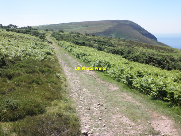 Photo 6"x4" Looking towards Great Hangman Trentishoe c2014