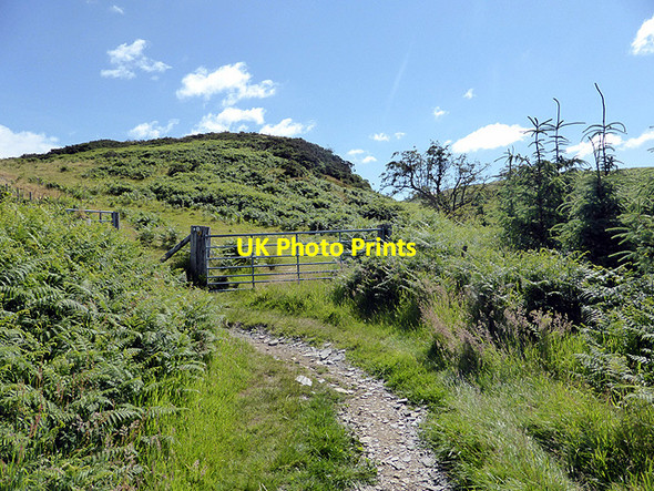 Photo 6"x4" Gate on Glyndŵr's Way on Bryn-gl\u00c3\u00a2s farm Machynlleth c2014