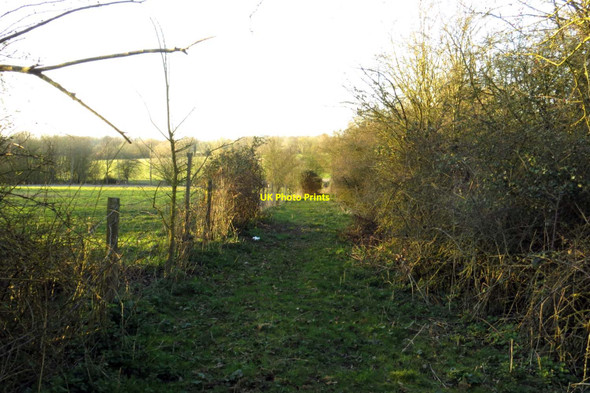 Photo 6"x4" Bridleway to Freeland Freeland\/SP4112 c2014