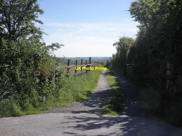 Photo 6"x4" Track to Truckham Farm Dean\/SS6245 c2014