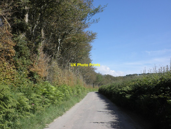 Photo 6"x4" Minniemoor Lane Parracombe c2014