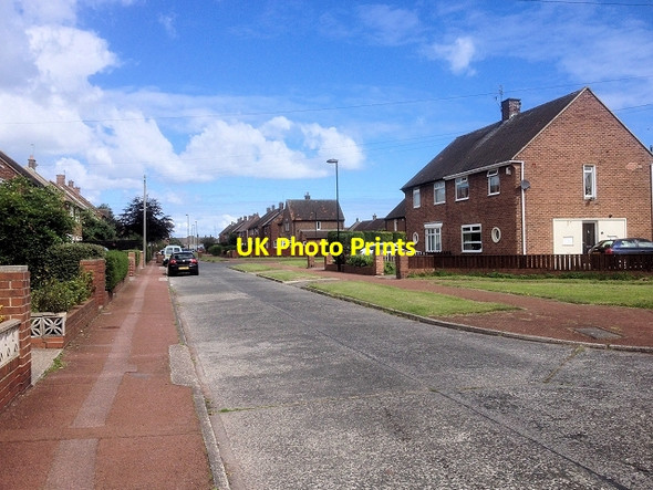 Photo 6"x4" Eddington Grove Tynemouth c2014