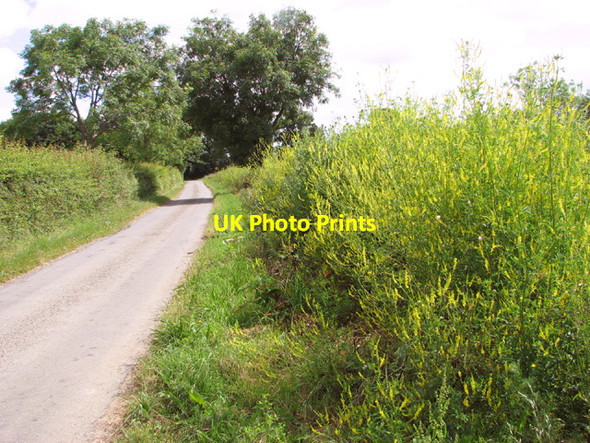 Photo 6"x4" Minor road at Harris Green Hardwick\/TM2289 c2014