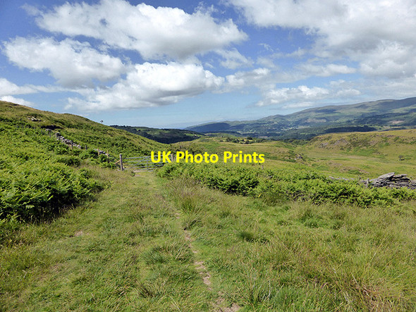 Photo 6"x4" Gate on  Glyndŵr's Way Machynlleth c2014