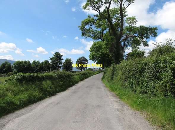 Photo 6"x4" View west along Killowen Old Road Rostrevor c2014