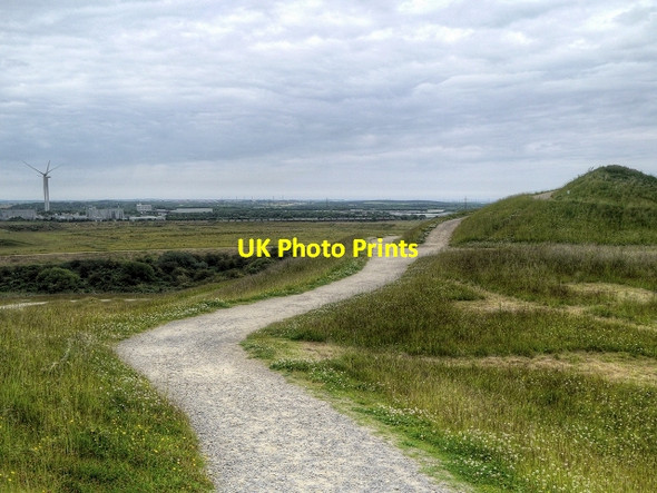 Photo 6"x4" Northumberlandia, View from the Torso Shotton\/NZ2278 c2014