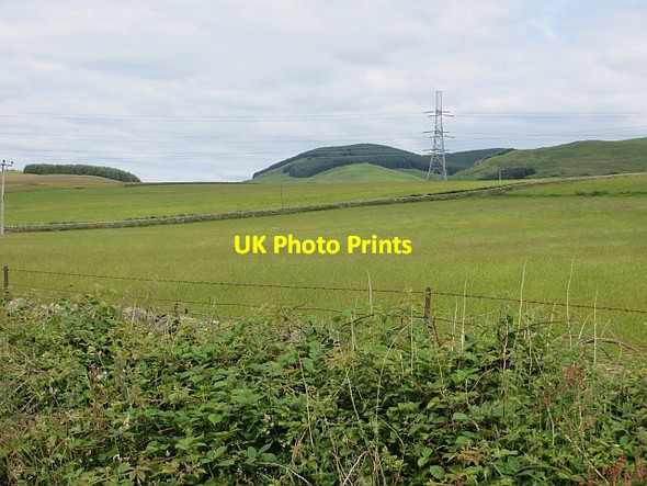 Photo 6"x4" Annandale grassland Dumcrieff c2014