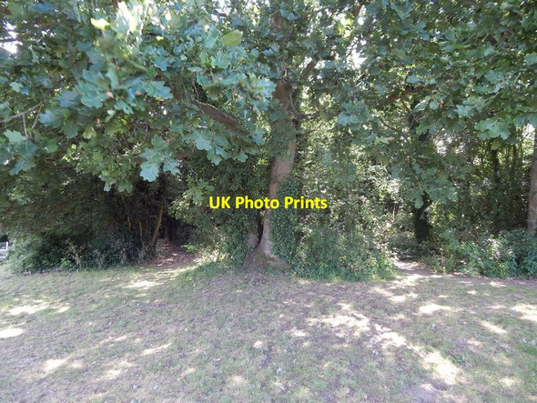 Photo 6"x4" Wivenhoe Wood entrance Wivenhoe c2014