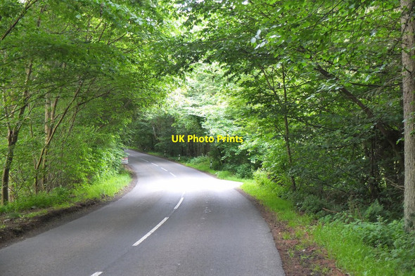 Photo 6"x4" B6365 near Duns Castle estate Cumledge c2014