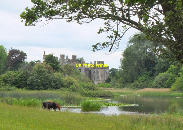 Photo 6"x4" Hen Poo and Duns Castle Duns c2014