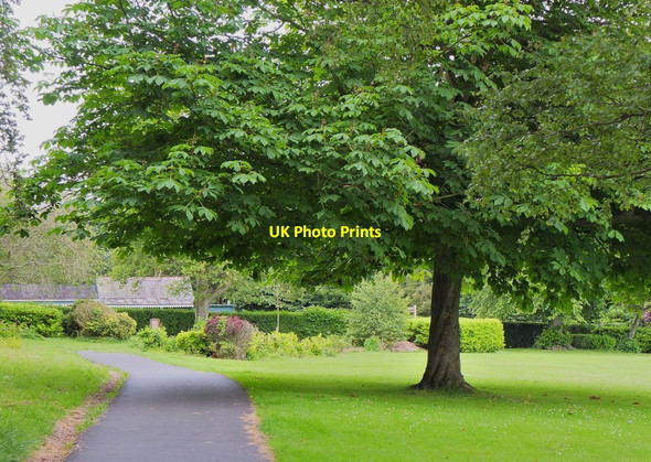 Photo 6"x4" Public park, Duns Duns c2014