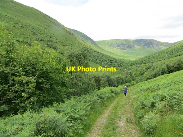 Photo 6"x4" Carrifran Glen Capplegill c2014