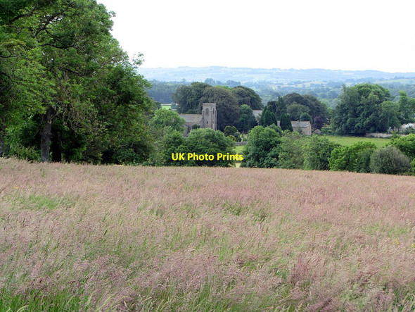 Photo 6"x4" Hay field above St Michael's Church, Wark Wark\/NY8677 c2014