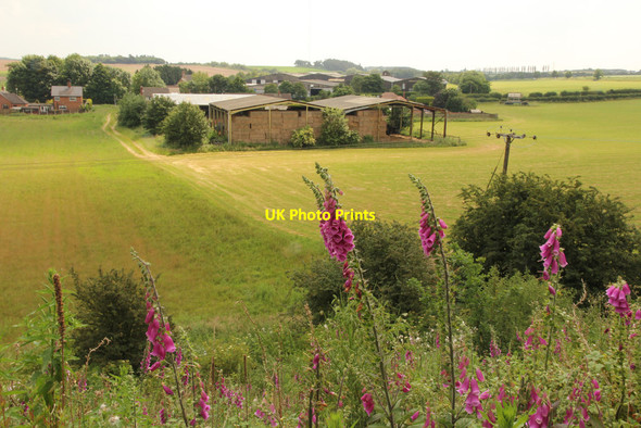 Photo 6"x4" Fairfield Farm Bilsthorpe c2014