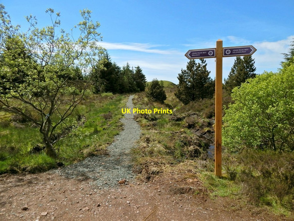 Photo 6"x4" Path to Craigendoran Arden\/NS3684 c2014