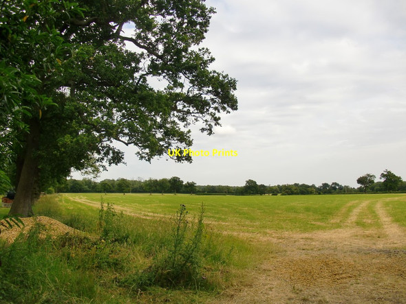 Photo 6"x4" View from White Stubbs Lane Epping Green\/TL2906 c2014