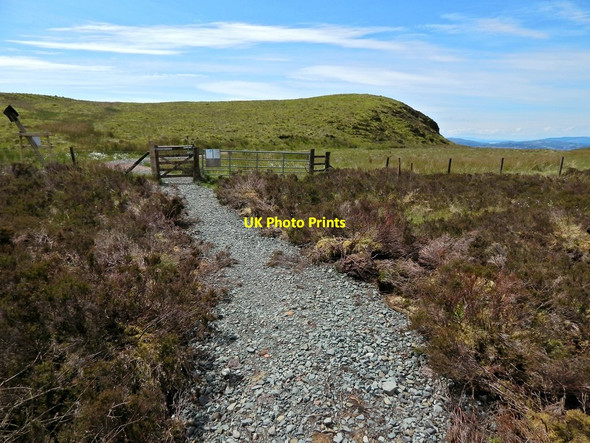 Photo 6"x4" Path to Craigendoran Arden\/NS3684 c2014