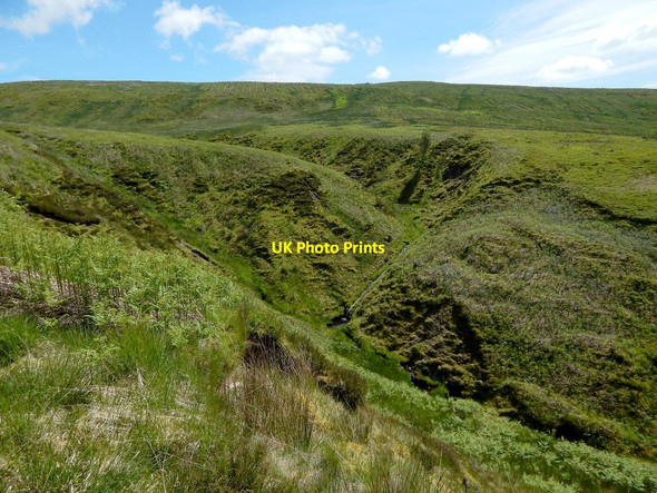 Photo 6"x4" The glen of the Red Burn Craigendoran c2014 P1
