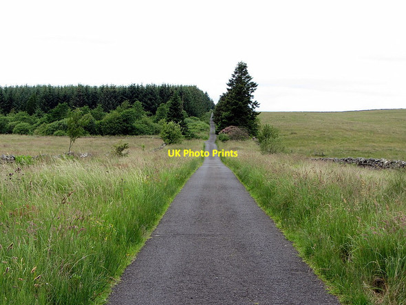 Photo 6"x4" Minor road near Hott Hill March Burn\/NY8080 c2014
