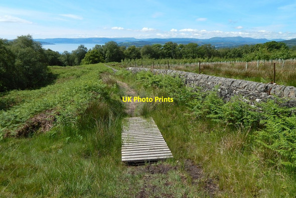 Photo 6"x4" Path and boardwalk Craigendoran c2014 P1