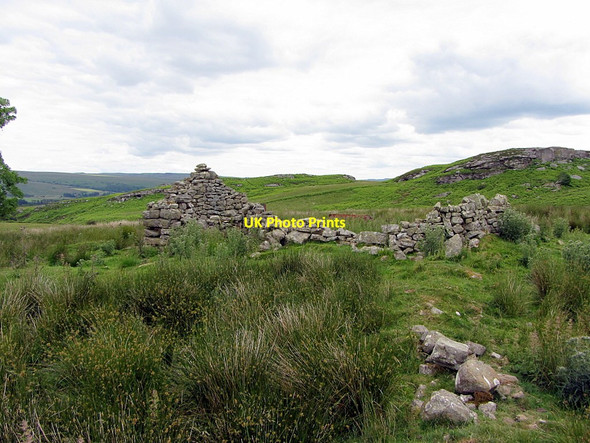 Photo 6"x4" Ruined shieling near Howlerhirst Crag Greystead c2014