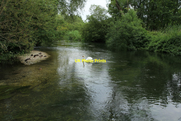Photo 6"x4" River Itchen Couch Green c2014