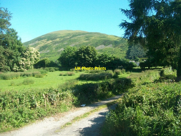 Photo 6"x4" Private lane leading from the A2 to cottages at the foot of Knockshee Rostrevor c2014